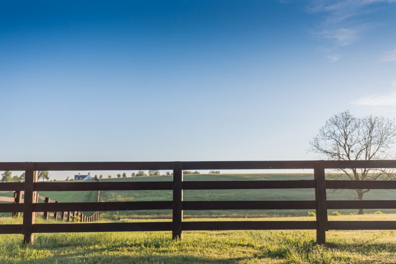 Horse Fence Replacement in Pearland, TX