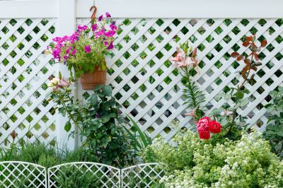 Pvc Lattice Fence Installation in South Houston, TX