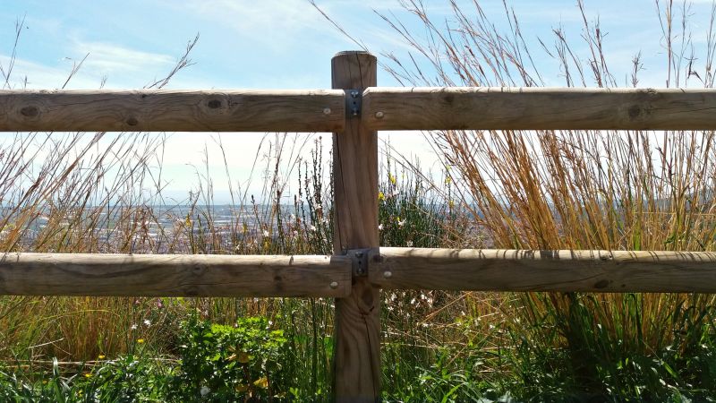 Timber Fence Installation in Roseville, CA